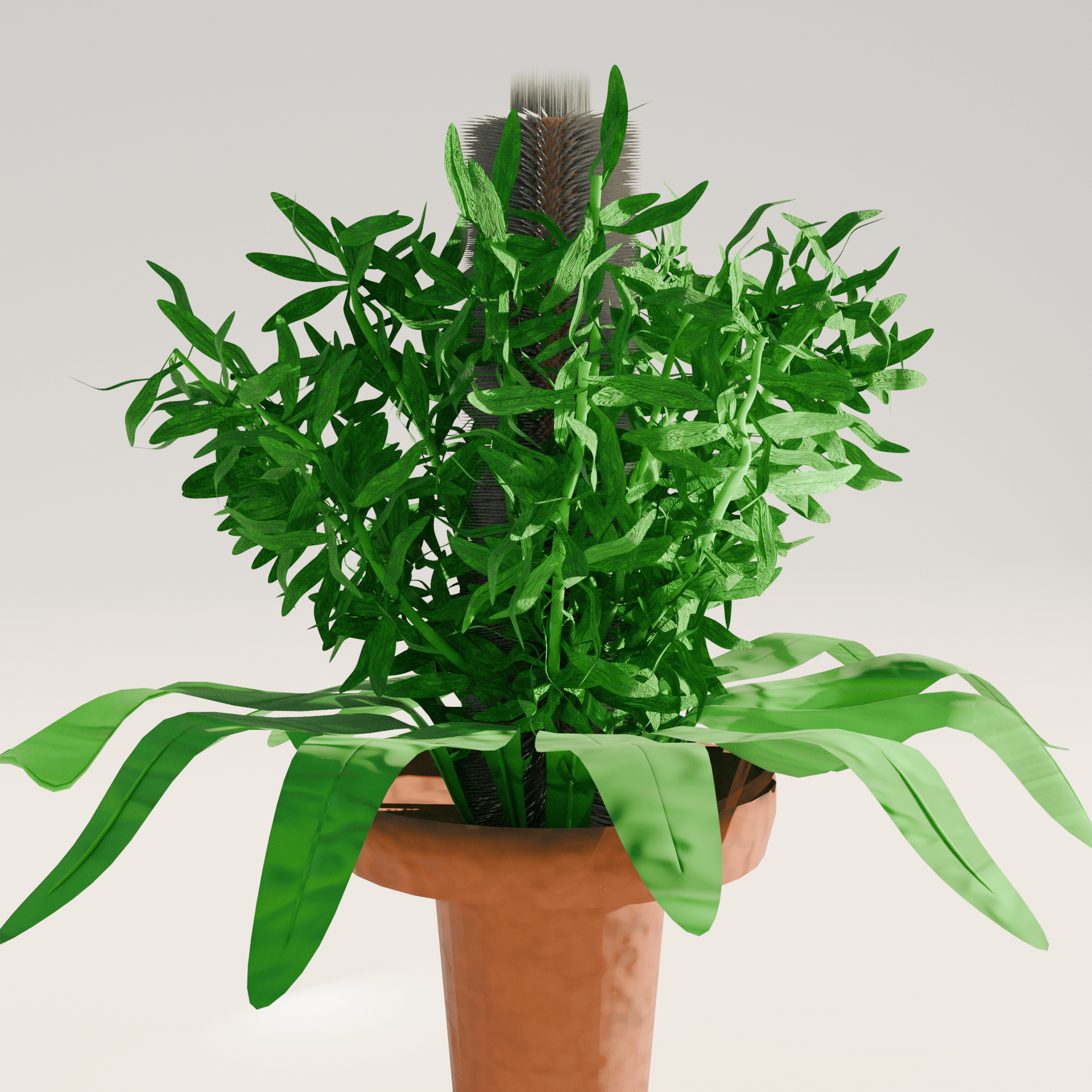 3D Explorations frame 17