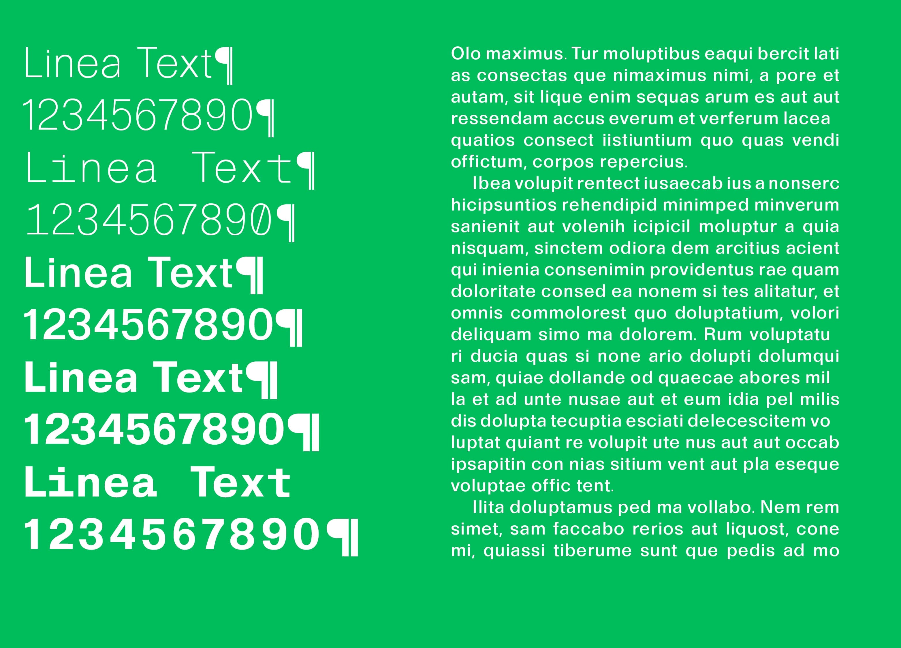 Custom typefaces 22 — experimental display typography